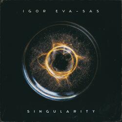 Singularity