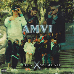 AMVI
