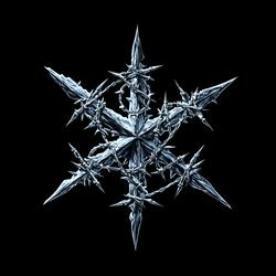 FROST