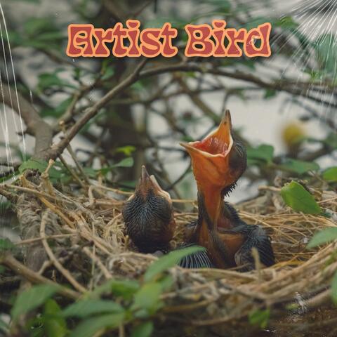 Artist Bird