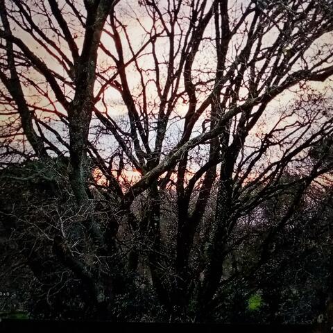 Es que a la luna no le llego yo