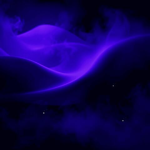 Whispers of the Velvet Night