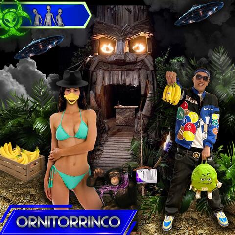 ORNITORRINCO