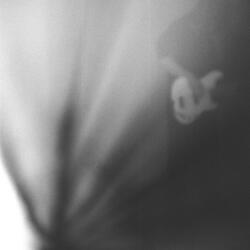 the rites that bind us