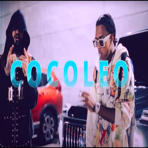 COCOLEO