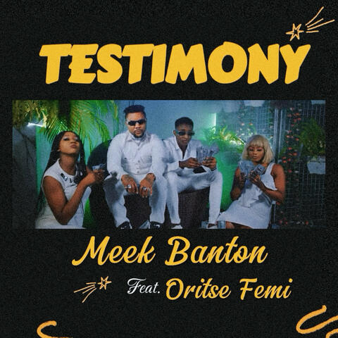 Testimony