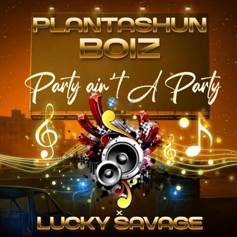 Party Aint A Party