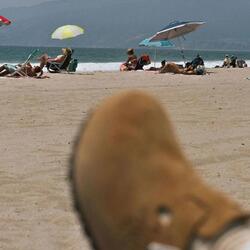 bela praia