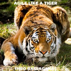 Agile like a tiger