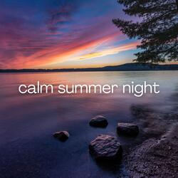 Calm Summer Night (Loop)