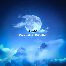 Moonlit Dreams