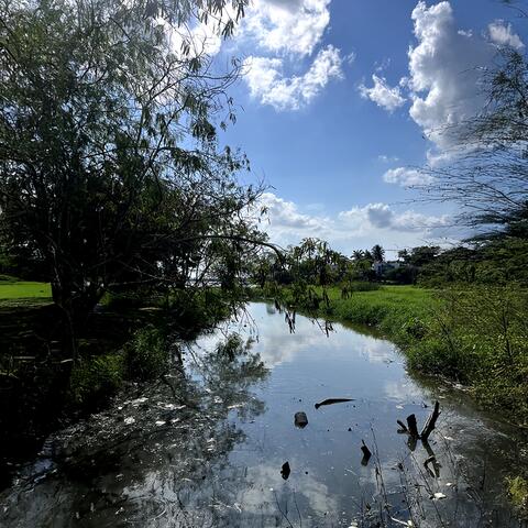 something in the sadness