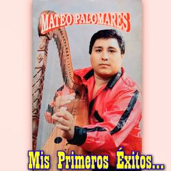 Tomando Mi Cerveza