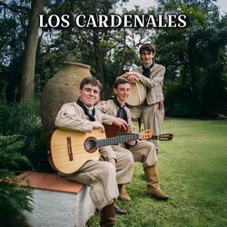 Conjunto Pena Y Olvido