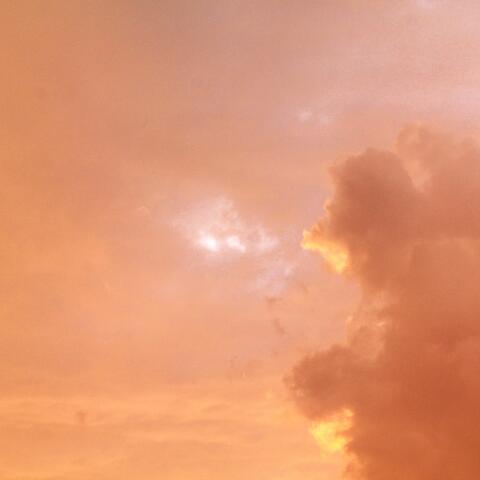 Orange Blush