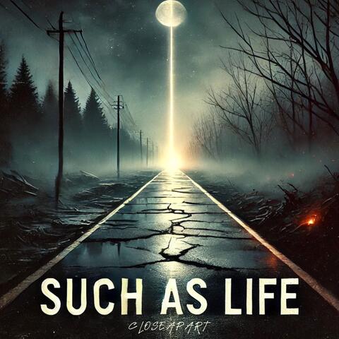 Such As Life