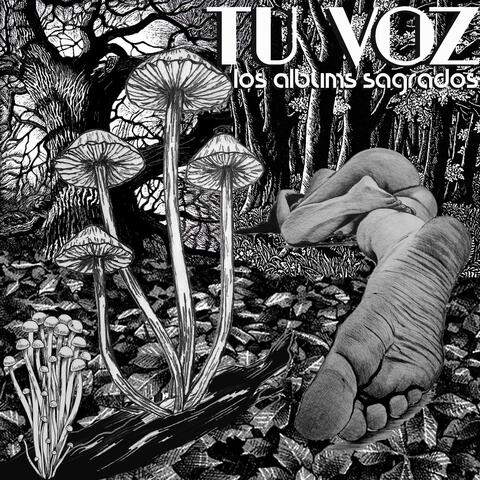 Tu Voz