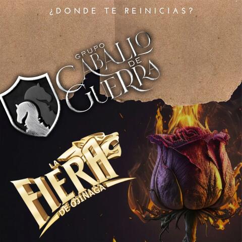 ¿DONDE TE REINICIAS?