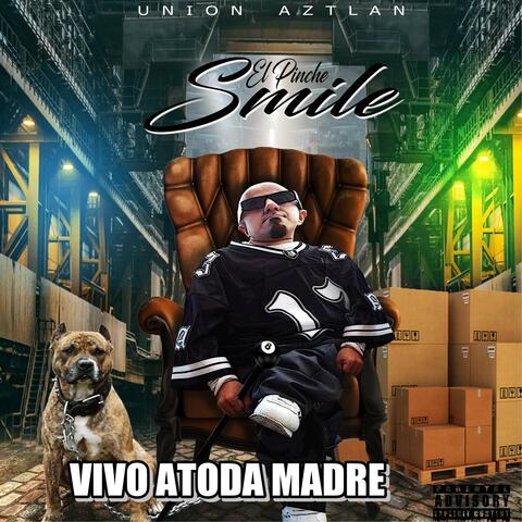 VIVO ATODA MADRE