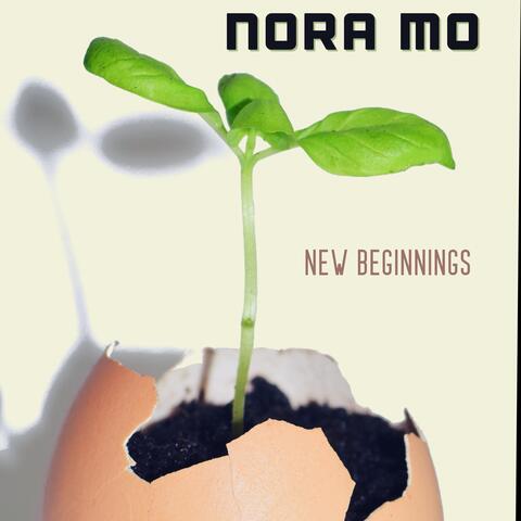 New Beginnings