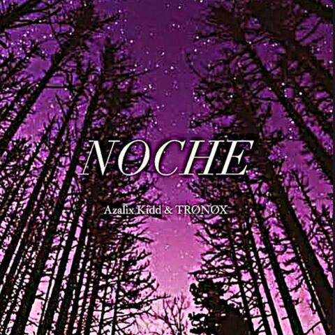 Noche