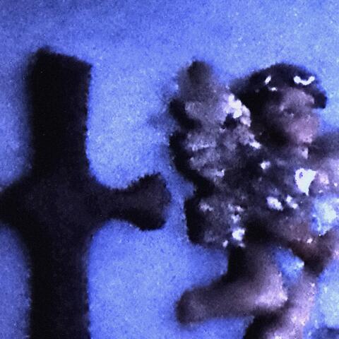 Los! Die Engel Sind Da!