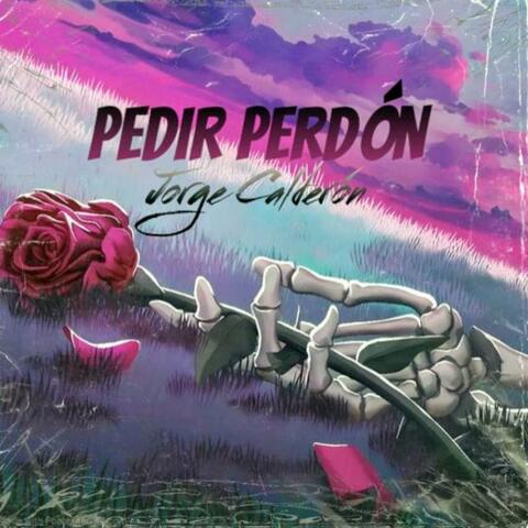 Pedir Perdón