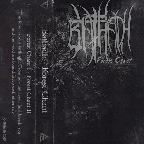 Forest Chant