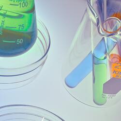 Analyze Results and Draw a Conclusion