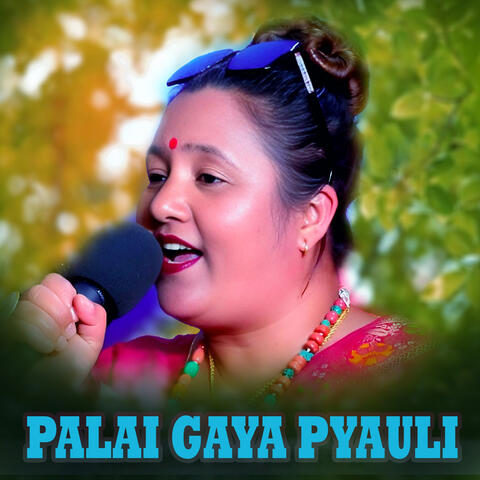 PALAI GAYA PYAULI