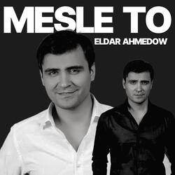 Mesle to