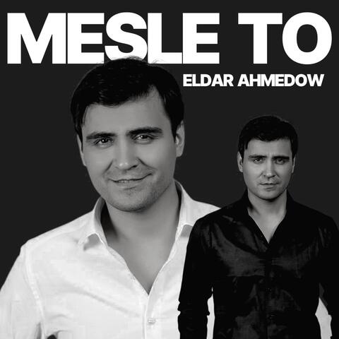 Mesle to