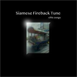 Siamese Fireback Tune
