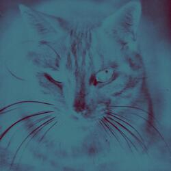 If Its In My Hand; Dans la grâce, je suis dans le doute