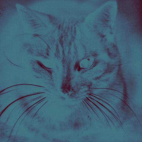 Fantasies To Entertain Myself With