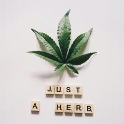 JUST A HERB