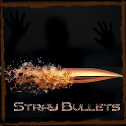 Stray Bullets