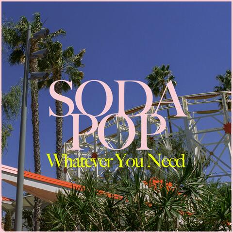 Whatever You Need