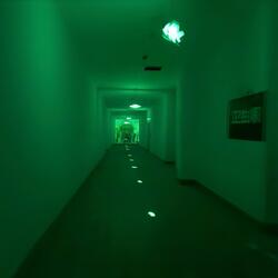 黑夜去王家卫生间的路上没有尽头