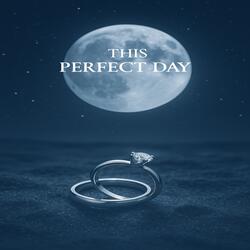 This perfect Day