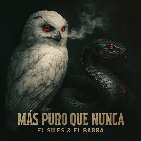 MÁS PURO QUE NUNCA