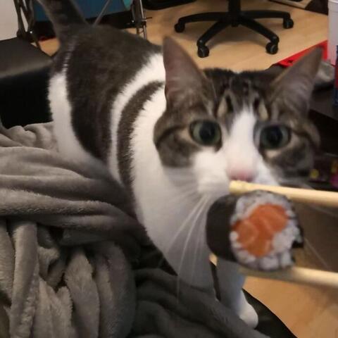 Temporary Lapse In Reasoning