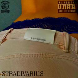 stradivarius