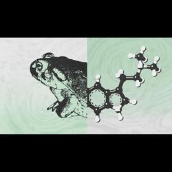 Middsnärt V8.3 (Trip snärt)