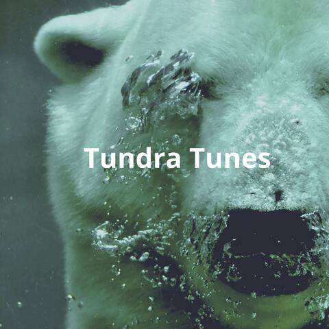 Tundra Tunes