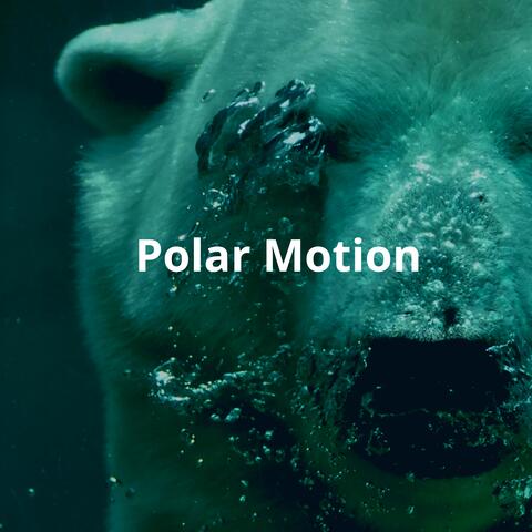 Polar Motion