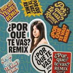 Porque te vas