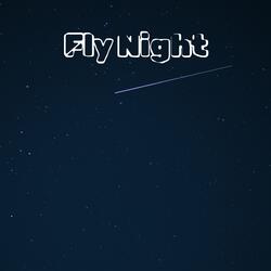 Fly Night
