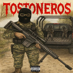 TOSTONEROS