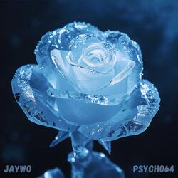 Rosenblätter aus Eis